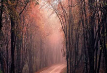 天涯论坛情感天地里的出轨故事：现实版罗密欧与朱丽叶