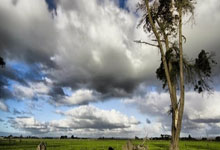 天涯论坛护肤秘籍大揭秘